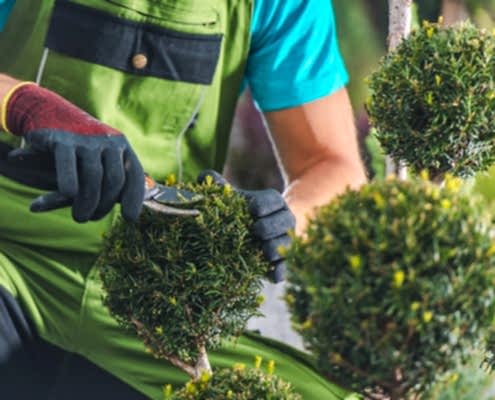 Asm İnşaat Dekorasyon Peyzaj Çalışması