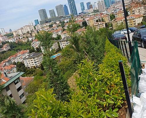 TRT Ulus Peyzaj Çalışması (2)