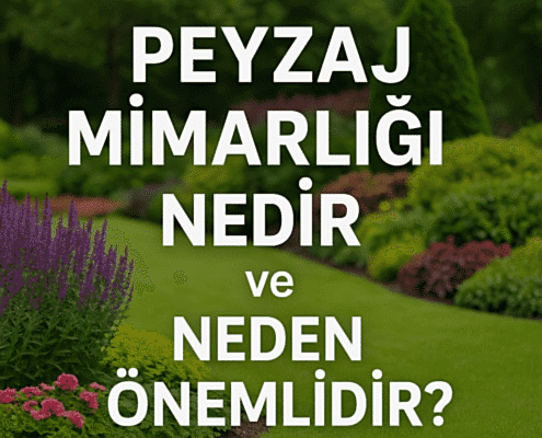 Peyzaj Mimarlığı Nedir ve Neden Önemlidir